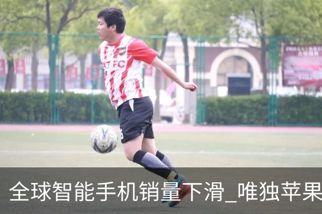 全球智能手机销量下滑 唯独苹果逆势增长表现亮眼